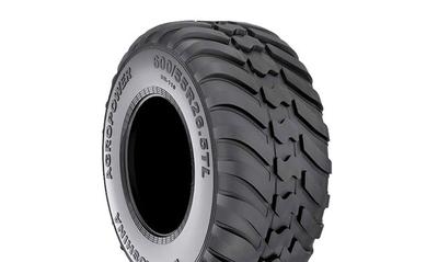 Купить Шина Днепрошина DN-110 AgroPower (с/х) 600/55 R26,5 165D